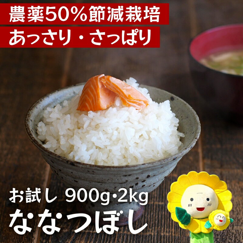 【ふるさと納税】 ななつぼし 新米 お試し / 白米 ごはん こめ 北海道米 ※10月～順次発送 //rice