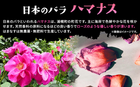 はまなすしお 100g×1袋 ハマナス 塩 岩塩 uni 《60日以内に出荷予定》北海道 浦幌町 ハマナスの花 花びら 日本のバラ 送料無料