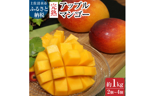 完熟アップルマンゴー１kg（２個～４個入り）完熟 アーウィン種 南国フルーツ 果物 果汁 濃厚 ジューシー デザート マンゴー ギフト プレゼント 送料無料【R00520】