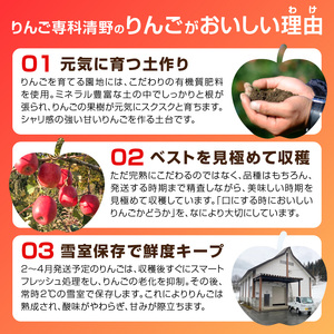 《先行予約》贈答規格「サンふじ」「ラ・フランス」「はるか」約5kg詰合せ（特秀～秀）【2024年12月上旬頃～発送予定】【大江町産・山形りんご・りんご専科 清野哲生】 015-065