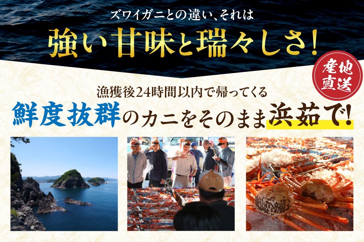ズワイガニとは違う強い甘味と瑞々しさ！鮮度抜群のカニをそのまま浜茹で！