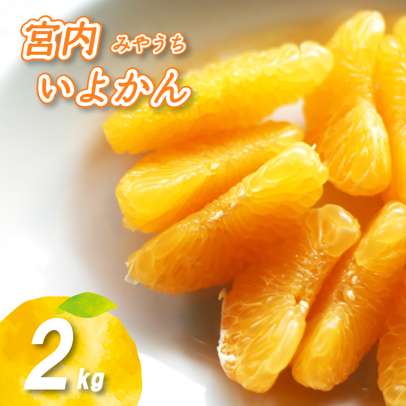 【2026年1月上旬から順次発送】宮内いよかん 2kg | いよかん 伊予柑 みかん 数量限定 みかん 愛媛県産 みかん いよかん 伊予柑 松山市 みかん 中島 みかん いよかん 伊予柑 みかん 蜜柑 いよかん 伊予柑 イヨカン みかん いよかん 伊予柑 愛媛県 松山市