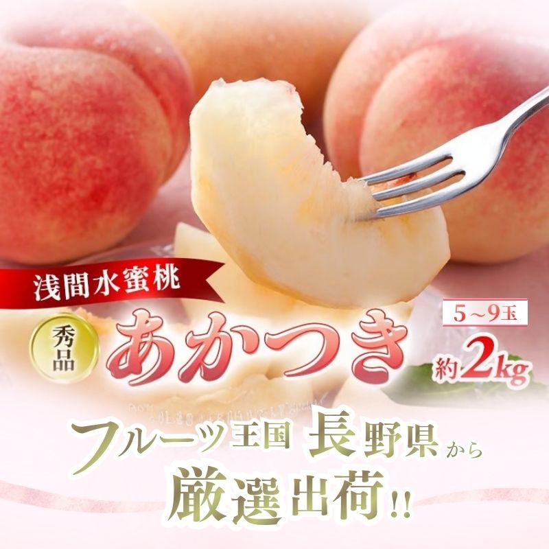 【オンライン決済限定】【2026年8月上旬～発送予定】 先行