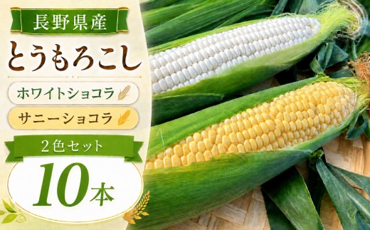 とうもろこし 2色 セット 10本 入り ホワイトショコラ サニーショコラ | 農家直送 トウモロコシ 甘い 野菜 ジューシー みずみずしい 生食 茹で 焼き 栄養 おやつ 長野県 南信州 飯田市