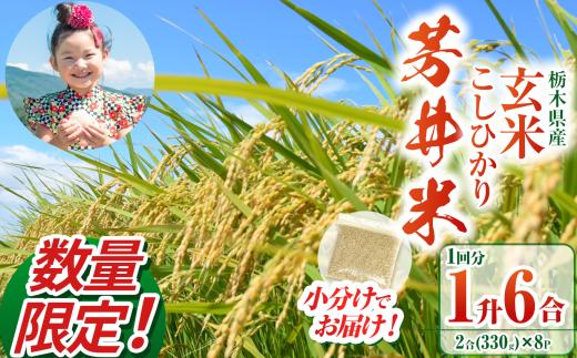 【数量限定】【令和7年度】那珂川町産芳井米 玄米 330g（2合分）×8 | こしひかり 新米 米 ごはん  ふっくら もちもち  ふるさと納税 那珂川町 栃木県