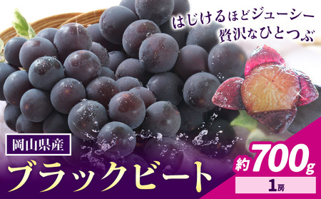 【先行予約】岡山県産 ぶどう ブラックビート 700g 1房 株式会社 はちや《8月上旬-9月上旬頃出荷》【配送不可地域あり】