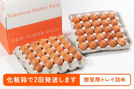 2回定期便 卵 計100個 ギフト用化粧箱50個（45＋補償5個）入り ×2回発送 15-D