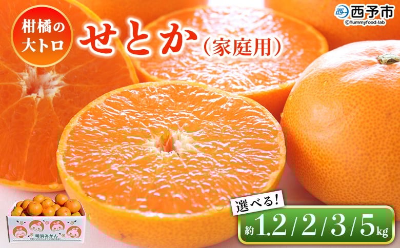 
            ＜せとか（家庭用）約1.2kg／2kg／3kg／5kg＞ 選べる 内容量 自宅用 訳あり ワケアリ 果物 くだもの フルーツ ミカン みかん セトカ 蜜柑 高級柑橘 柑橘の大トロ 柑橘 特産品 笑丸 愛媛県 西予市【常温】『2026年3月上旬～3月中旬に順次出荷予定』
          