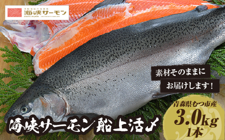 【期間限定発送】海峡サーモン船上活〆3.0kg 1本（冷蔵）