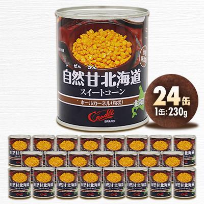 ふるさと納税 伊達市 【北海道の契約農家で栽培】自然甘 ホールコーン　230g×24缶　とうもろこし |  | 01