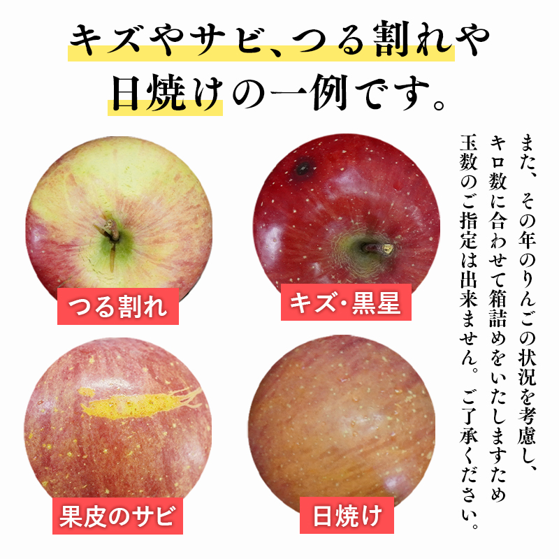 【12月発送】家庭用サンふじ3㎏【丸勝木村商店・青森りんご】