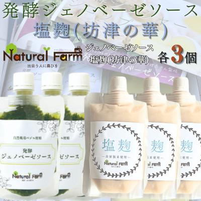 ふるさと納税 枕崎市 発酵ジェノベーゼソース&amp;塩麹　各3パックセット B5-12