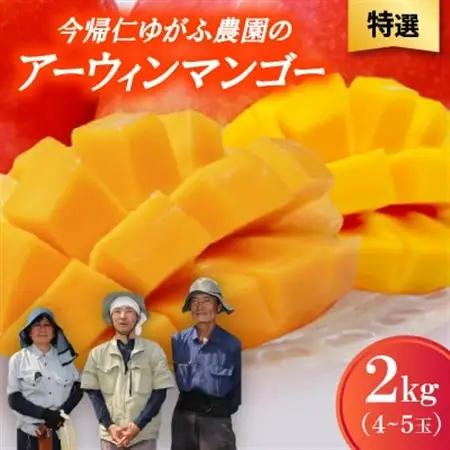 【2026年7月から順次発送・特選】今帰仁ゆがふ農園のアーウィンマンゴー2kg(4～5玉)【配送不可地域：離島】【1694716】