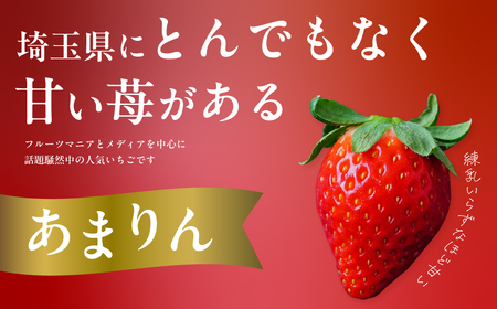 いちご あまりん べにたま 食べ比べ 250g×4 いちご 埼玉県 久喜市