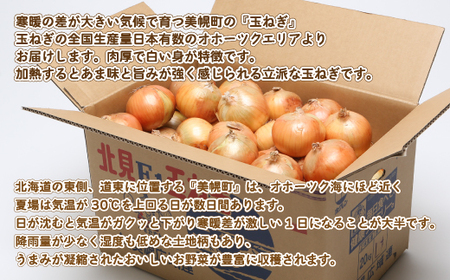 玉ねぎLサイズ・20kg 玉ねぎ たまねぎ 野菜 カレー 日持ち 北海道 美幌町 送料無料 BHRG030