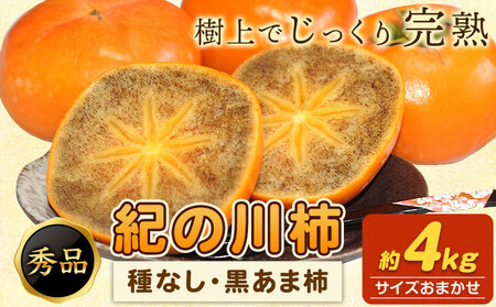 【先行予約】秀品 柿 紀の川柿 約4kg (種なし・黒あま柿)  サイズおまかせ 紀の川市厳選館 《2026年10月上旬-11月上旬出荷》和歌山県 紀の川市 柿 カキ かき ジューシー フルーツ