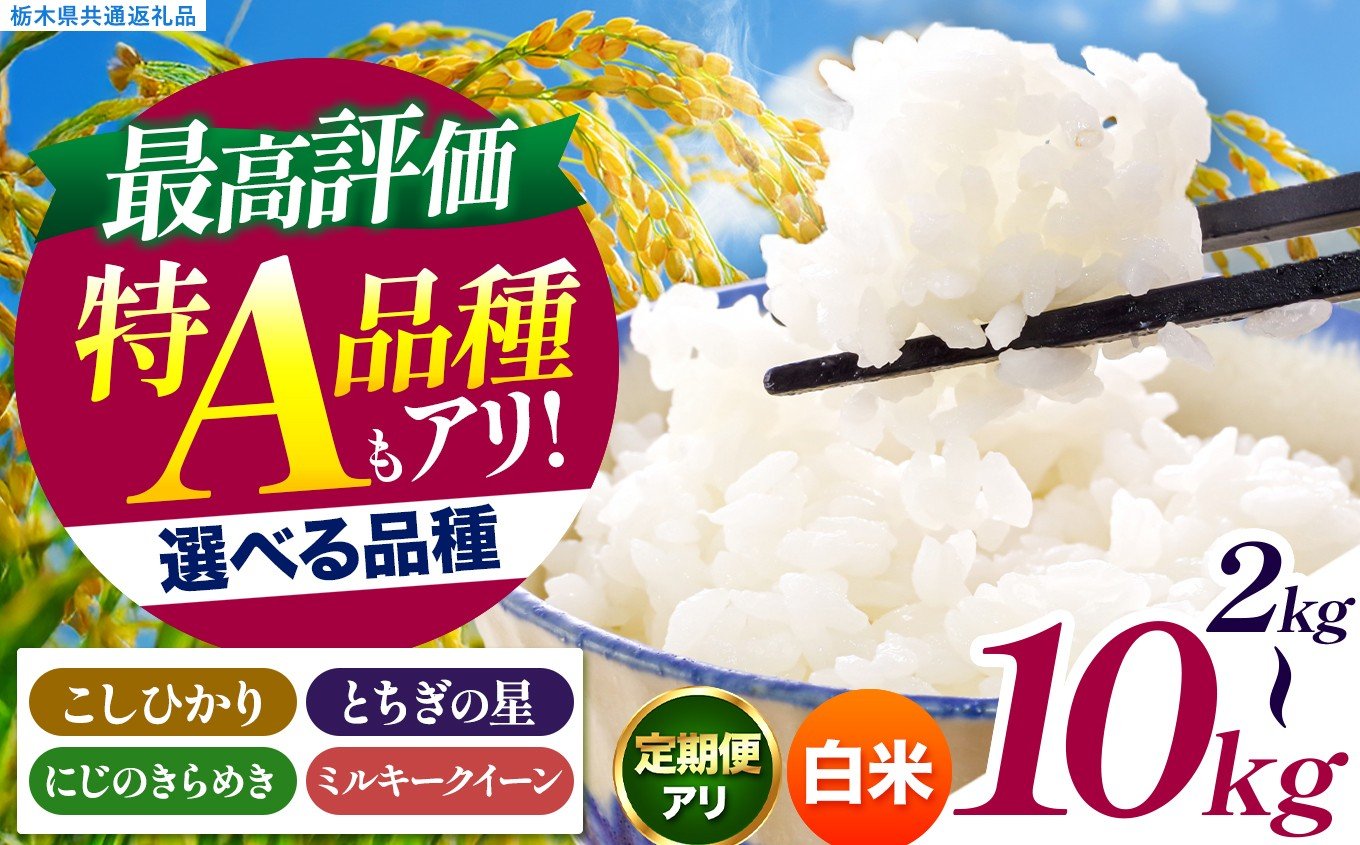 
            いちご農家さん応援米！ 訳あり 令和7年度産 白米 選べる 銘柄 容量 回数 約2kg～10kg こしひかり とちぎの星 にじのきらめき ミルキークイーン |  真岡市産 訳あり 米  お米 こめ 玄米 ご飯 ごはん もちもち コシヒカリ にじきら みるきーくいーん 限定 ふるさと納税  栃木県 真岡市 送料無料 
          