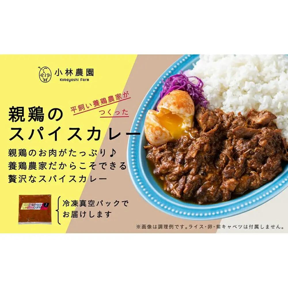 【全12回定期便】親鶏のスパイスカレー 5個（辛口）【テンアール株式会社】 カレー スパイス [AXAN088]