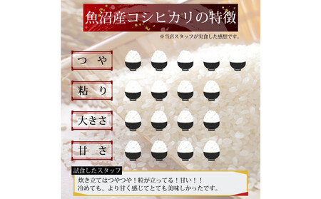 令和7年産 新潟県 魚沼産 無洗米 コシヒカリ5kg 精米 一等米  天糧