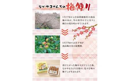 紀州南高梅　うす塩【ハチミツ入】 塩分5%（1kg）なかやまさんちの梅干　うめ　ウメ　【nky005-110k】