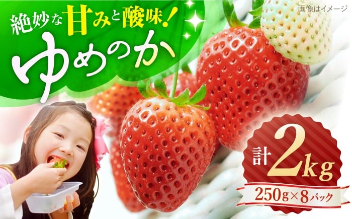 
                  ゆめのかいちご 計2kg（250g×8パック） いちご イチゴ ＜川原農園＞ [CDR010] いちご 苺 イチゴ 果物 フルーツ いちご 甘い ichigo strawberry イチゴ 生いちご 長崎県 西海市 ichigo
                