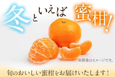 【先行予約】旬のみかん 5kg 《9月中旬-2月末頃出荷》みかん