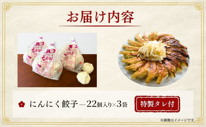 にんにく餃子66個(22個×3袋)12か月連続お届け 餃子 冷凍餃子 冷凍ギョーザ 手作り餃子 ギョーザ 点心 中華 中華料理 惣菜 簡単調理 加工食品 静岡県 森町