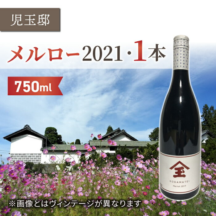 【ふるさと納税】【ゼロ磁場の児玉邸】メルロー2021年（赤ワイン）1本｜千曲川ワインバレー 東御ワイン