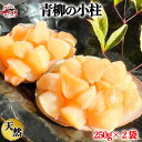 【ふるさと納税】岬だよりの【貝専門店】天然の青柳小柱　250g×2袋【配送不可地域：離島】【1469652】