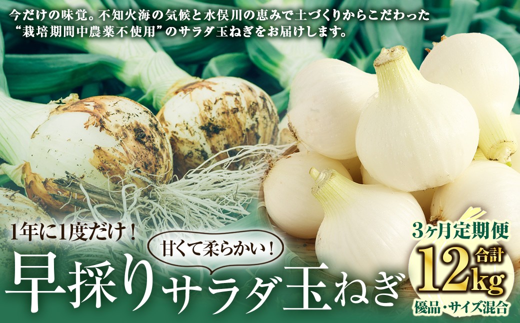 
            【 3回 定期便 】【2026年2月上旬より順次発送開始】【シーズン期間に3回お届け（発送時期：2026年2月・3月・4月）】＜栽培期間中農薬不使用 熊本県 水俣市産 ／ 耕人舎＞1年に1度だけ！甘くて柔らかい！ 早採り サラダ玉ねぎ （ 優品 ・サイズ混合）　※2月は葉付きの玉ねぎ2kgを、3月及び4月は玉ねぎを5kgずつお届けします。 計約12kg 玉葱 野菜 タマネギ サラダ
          