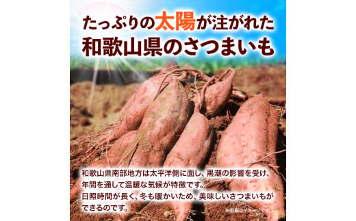 和歌山県のさつまいも訳あり家庭用5kg在来種《12月中旬‐4月下旬頃出荷》みはらファームさつま芋薩摩芋---wshg_mhr10_k124_23_9000_5kg---｜さつまいもさつまいもさつまいも