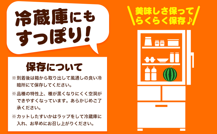 紀州和歌山産小玉スイカ「ひとりじめ」1玉魚鶴商店《6月中旬-7月上旬頃出荷》スイカスイーツフルーツ果物野菜スイカすいか夏旬---wsh_utr18_g67_23_10000_1800g---