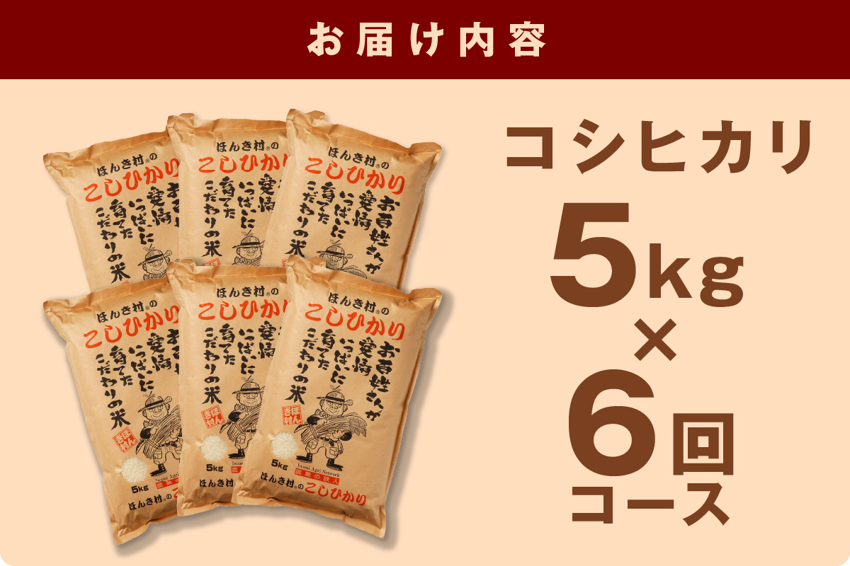 【令和6年産】ほんき村のこしひかり 30kg（5kg×6回コース）【定期便】お取り寄せ 特産 お米 新米 精米 白米 ごはん ご飯 コメ 30kg 30キロ【287】