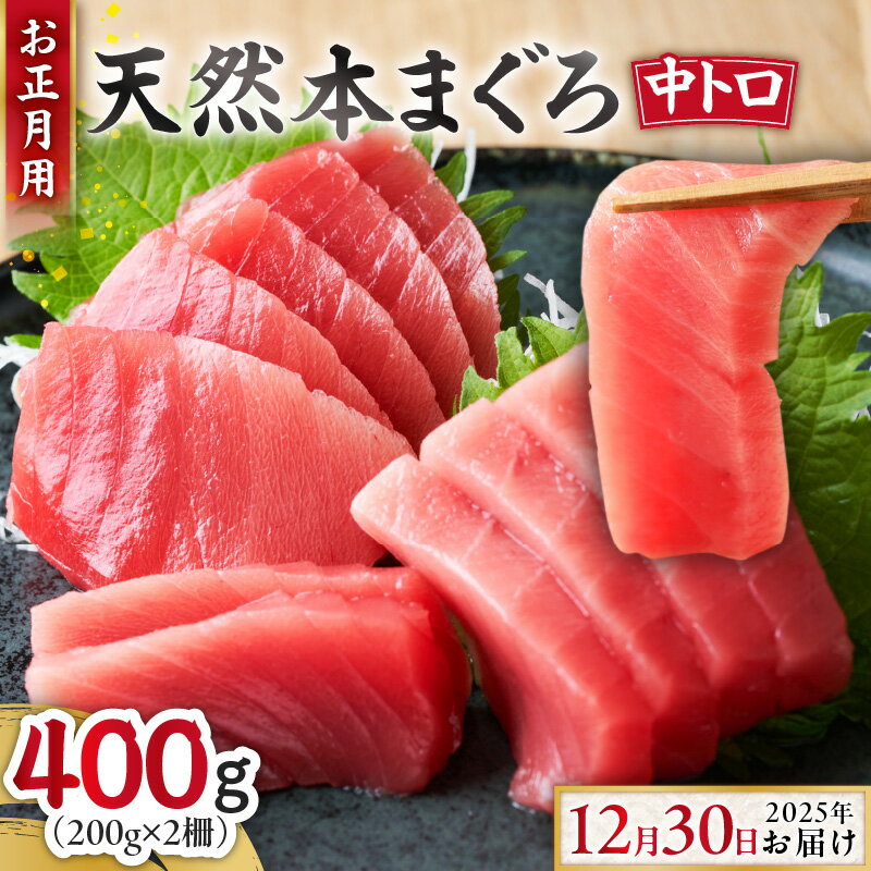 【ふるさと納税】【お正月用C】 天然 本鮪 中とろ 2柵 2025年12月30日にお届け 400g まぐろ マグロ 鮪 本まぐろ トロ 三崎 三崎港 海鮮 魚 魚介 湊魚問屋 ふるさと納税 神奈川 三浦市 おすすめ ランキング プレゼント ギフト