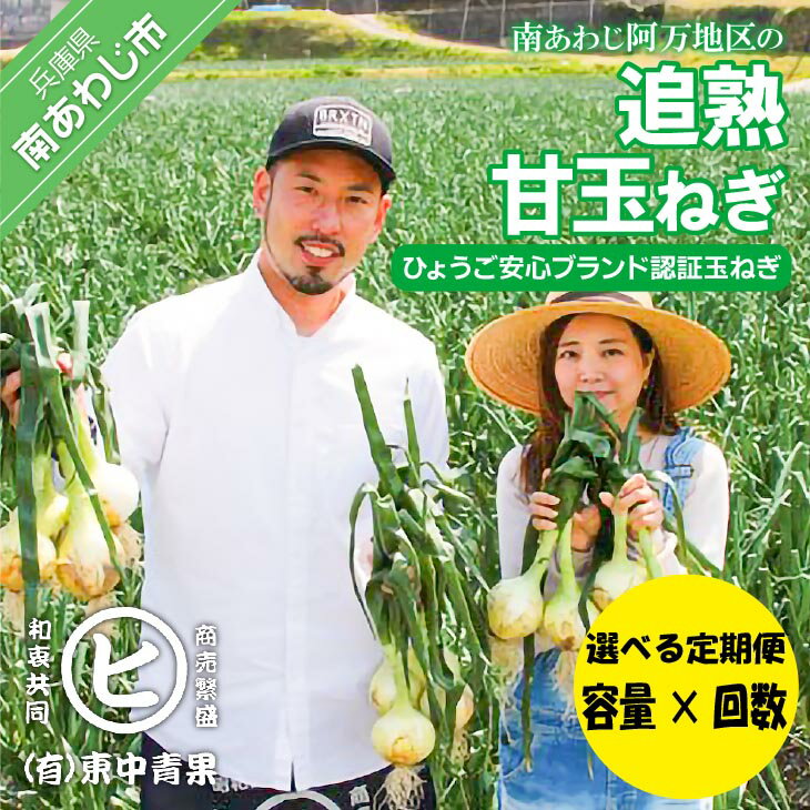 【ふるさと納税】【選べる定期便】「追熟甘玉ねぎ」容量【3kg・5kg・10kg】回数【3回・6回・12回】