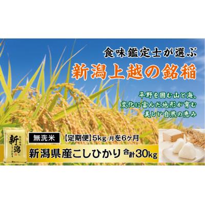 ふるさと納税 上越市 【発送月固定定期便】【先行予約】〈無洗米〉食味鑑定士厳選 上越産こしひかり[5kg]全6回