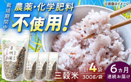 【6回定期便】雑穀米 古代米 三穀米 1.2kg /永尾 忠則 [UAS015] 雑穀 雑穀 雑穀 雑穀 雑穀