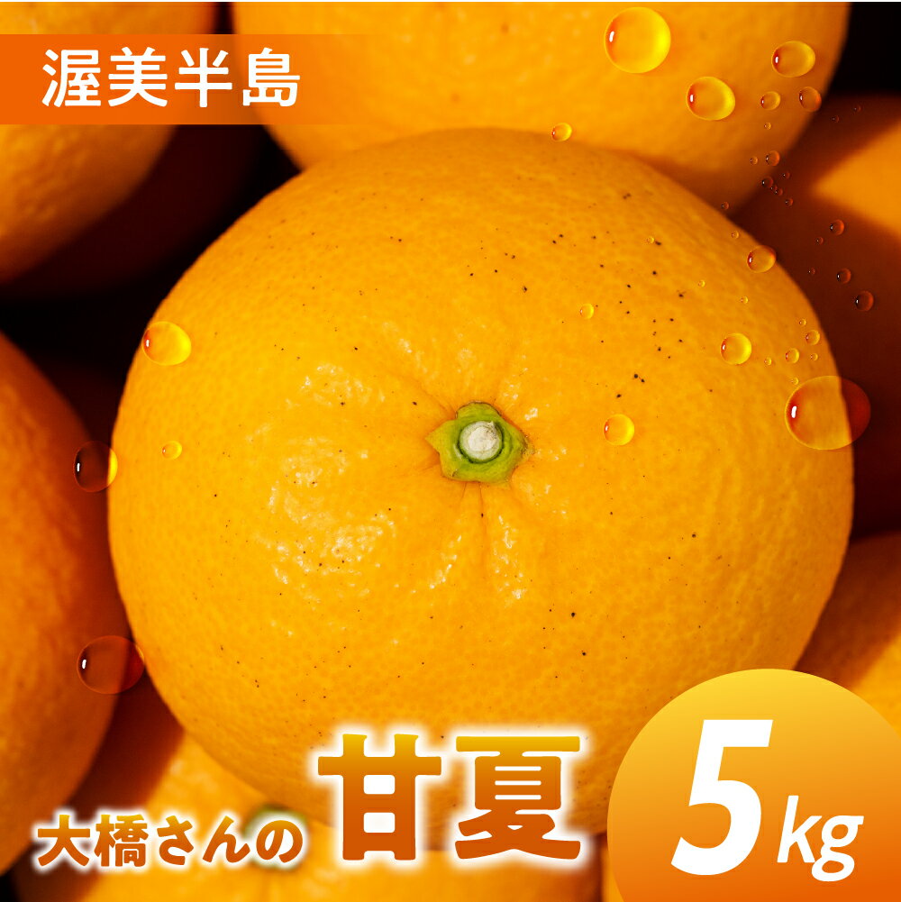 【ふるさと納税】大橋農園の 甘夏 5kg 甘夏 あまなつ 柑橘 柑橘類 フルーツ 果物 旬 オレンジ みかん マーマレード マーマレードジャム ゼリー に 愛知県 田原市 渥美半島