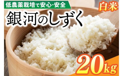 【新米】令和6年産 銀河のしずく 20kg (精米) 低農薬栽培米 生産者直送 (EI014)