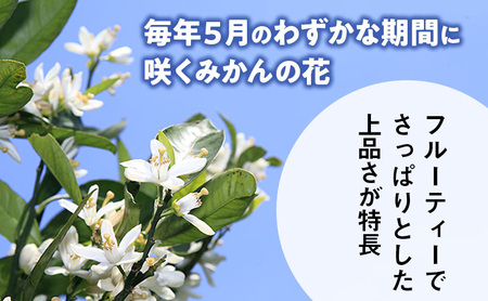 ラグジュアリーコムハニー 三ヶ日みかん完熟巣蜜【カットタイプ】 はちみつ 蜂蜜 巣蜜 ミツバチ 巣のまま 柑橘系の香り 上品な甘さ 贈り物 国産 静岡 浜松市 三ヶ日町