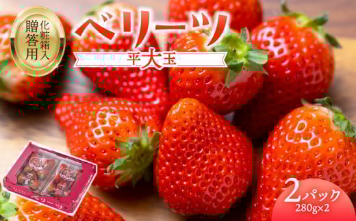 【先行予約※2026年2月下旬より発送開始】大分県ブランドいちご「ベリーツ」平大玉 約280g×2パック 大分 ブランド いちご 苺 イチゴ ベリーツ ストロベリー 大分県 箱入り ギフト 甘い C07007
