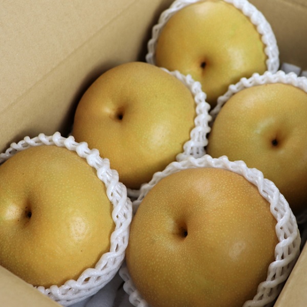 食の都庄内　庄内の和梨【秀玉or南水】約5kg※9月中旬ごろより順次配送 [HS4-227(庄内旬青果)] 【秀玉or南水】約5kg