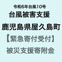 【ふるさと納税】【令和6年台風10号被害支援緊急寄附受付】鹿児島県屋久島町災害応援寄附金（返礼品はありません）