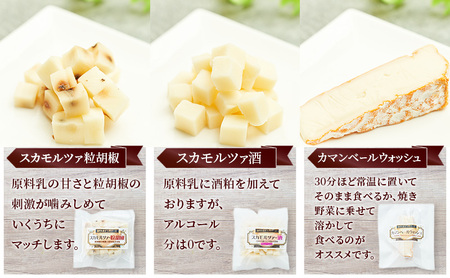 【2ヶ月毎全2回お届け】秋田 羽後 チーズアソート5種/おつまみセット［明通りチーズ工房］スカモルツァ2種・カマンベールウォッシュ・アヴァ（オリジナル）2種【チーズ アソート 詰合せ セット バラエテ