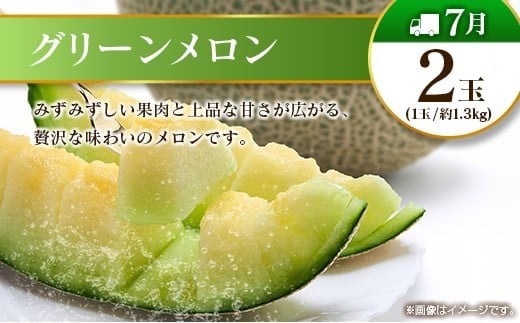 【10回定期便】旬 人気 フルーツ 南国宮崎産 マンゴー 金柑たまたま シャインマスカット ピオーネ いちご みかん 梨 メロン 柑橘 きんかん ぶどう 果物 詰め合わせ 宮崎県 九州＜E-2コース M600＞