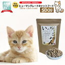 【ふるさと納税】【定期便】国産 無添加 キャットフード いのちのごはん 500g×全6回【毎月配送】上質な鶏 新鮮野菜 果物 健康 ヒューマングレード グルテンフリー ノンオイル 素材の味 保存料不使用 栄養バランス 高タンパク ビタミン ミネラル 大阪府 泉佐野市 送料無料