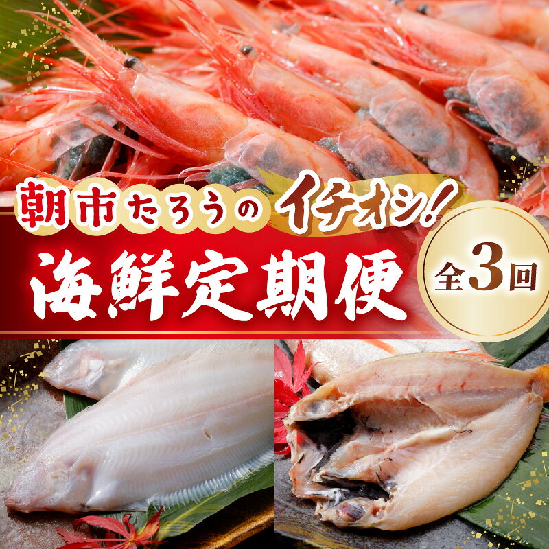 【ふるさと納税】【3ヶ月連続お届け】朝市たろうのイチオシ海鮮定期便/干物 えび 魚介