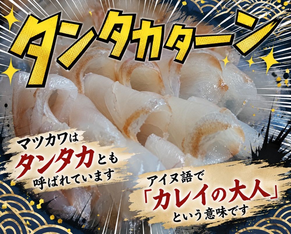 マツカワはアイヌ語で「カレイの大人」