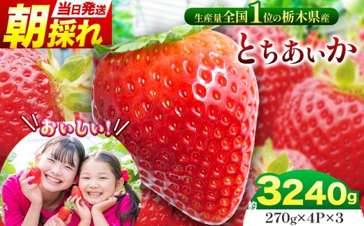 【先行予約】那珂川町産とちあいか 270ｇ×4Ｐ×3 |  いちご 苺 イチゴ 大粒 甘い 贈答用 数量限定 果物 フルーツデザート 人気 贅沢 たっぷり 大容量 朝採れ当日発送 栃木県 那珂川町 送料無料