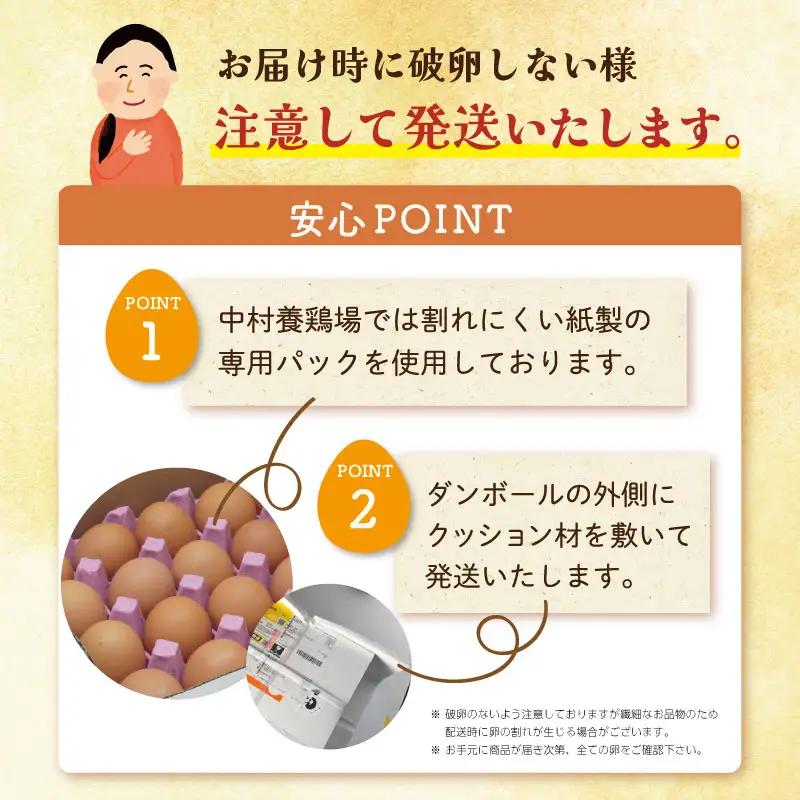 新鮮たまご 赤玉 Lサイズ 50個 中村養鶏場 ny3
